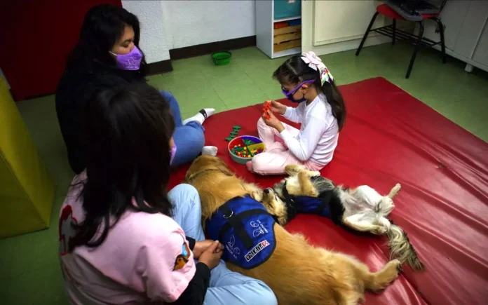 Perros de Terapia: Una herramienta efectiva para el bienestar en hospitales