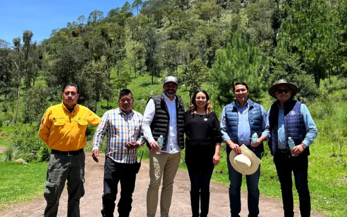 Nestlé México y Fundación Chedraui reforestan 20 hectáreas en Puebla con drones
